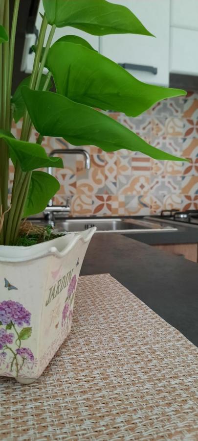 Vesuvius' Lovely Inn Ерколано Екстер'єр фото